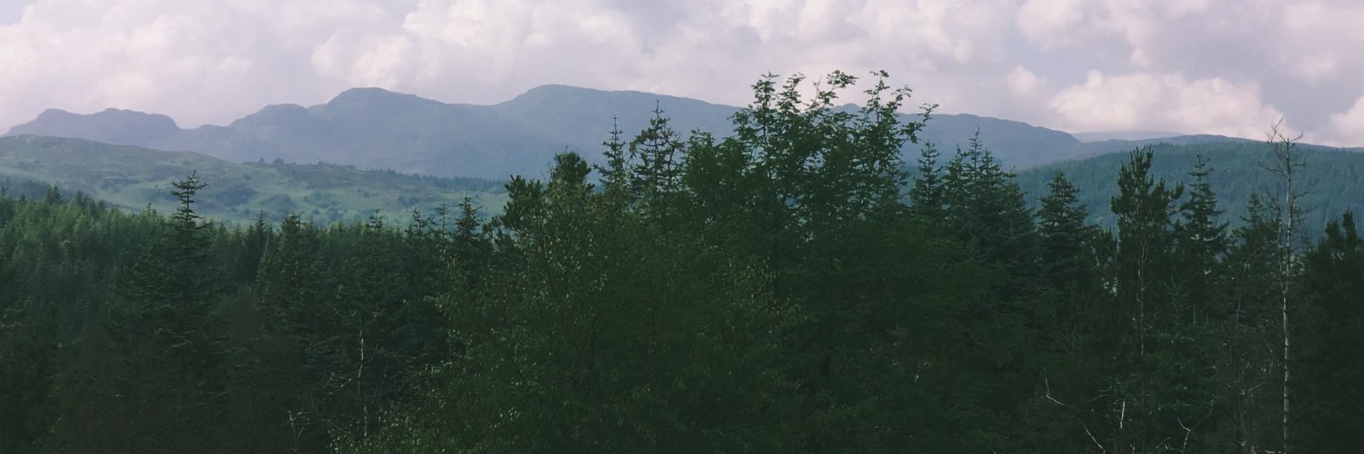 kateandtrees's profile banner image