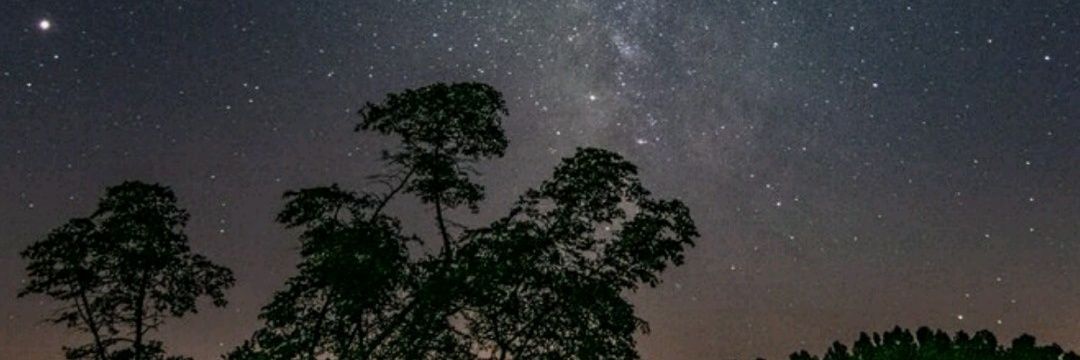 buketsahink's profile banner image