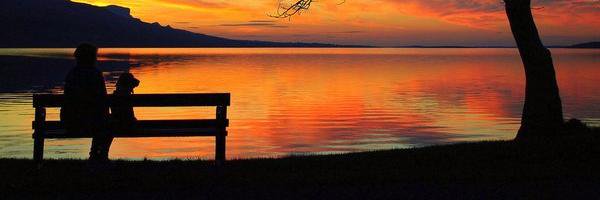 michelle mccauley banner