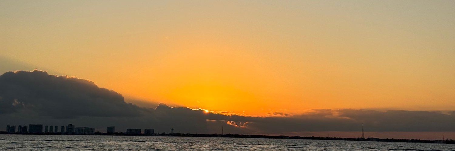 Fioreee222's profile banner image