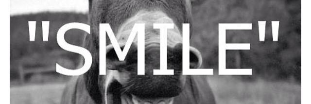 aylinrtelli's profile banner image