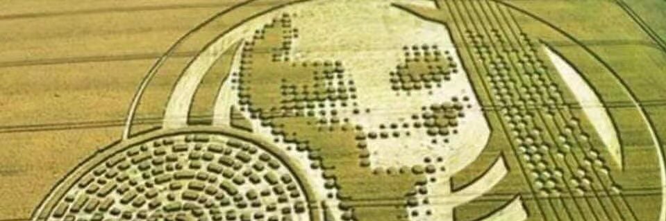 Metaideaspace's profile banner image