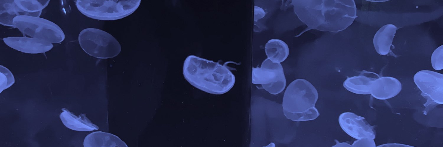 p_qvnl's profile banner image