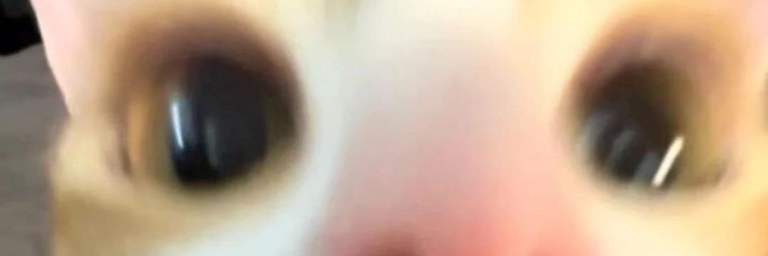 Heydi_ne's profile banner image