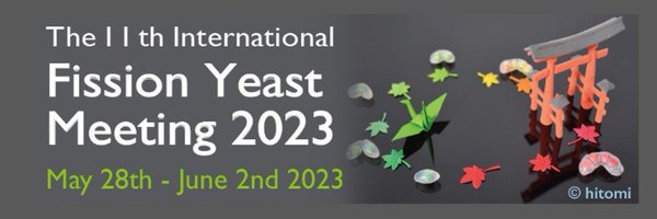pombe2023 Profile Banner