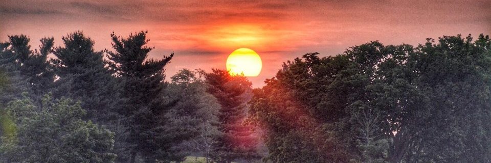 Less Beaten Paths banner