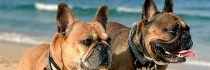 eyber29's profile banner image