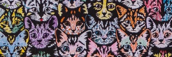 skrtskrtsky's profile banner image