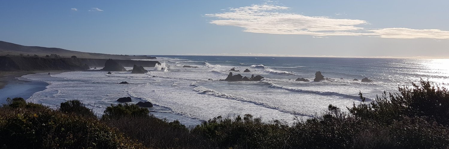 Roberto Porcu banner