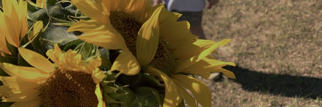 jcwells_'s profile banner image