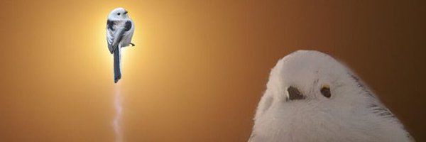 xclkx_ Profile Banner