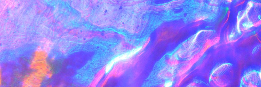 bettabird's profile banner image