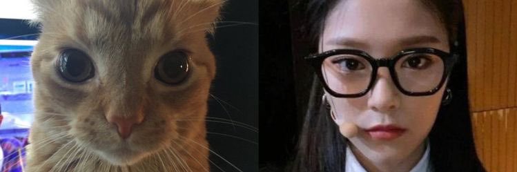 lol banner