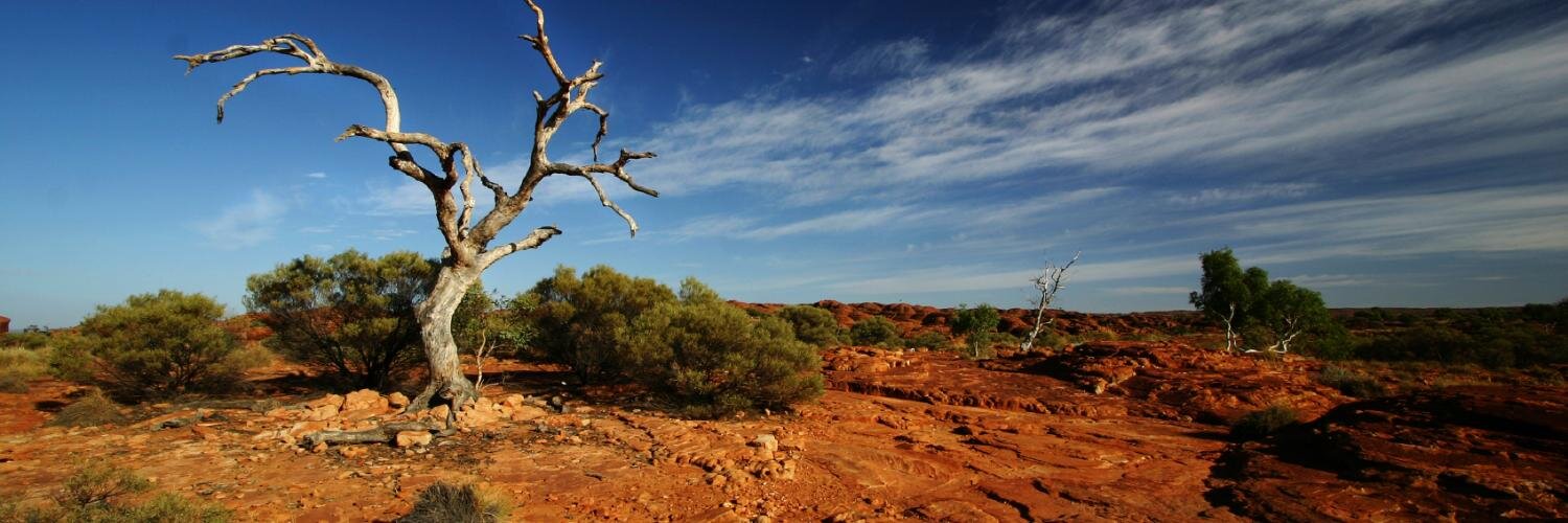 OzRuralDoc's profile banner image