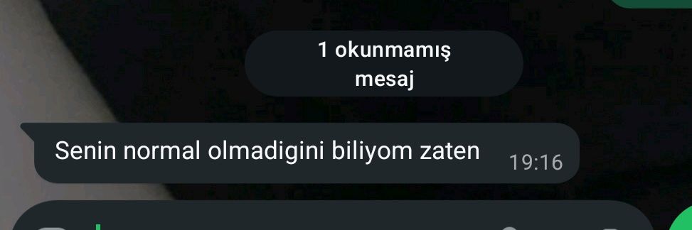 karıncagardeşş banner