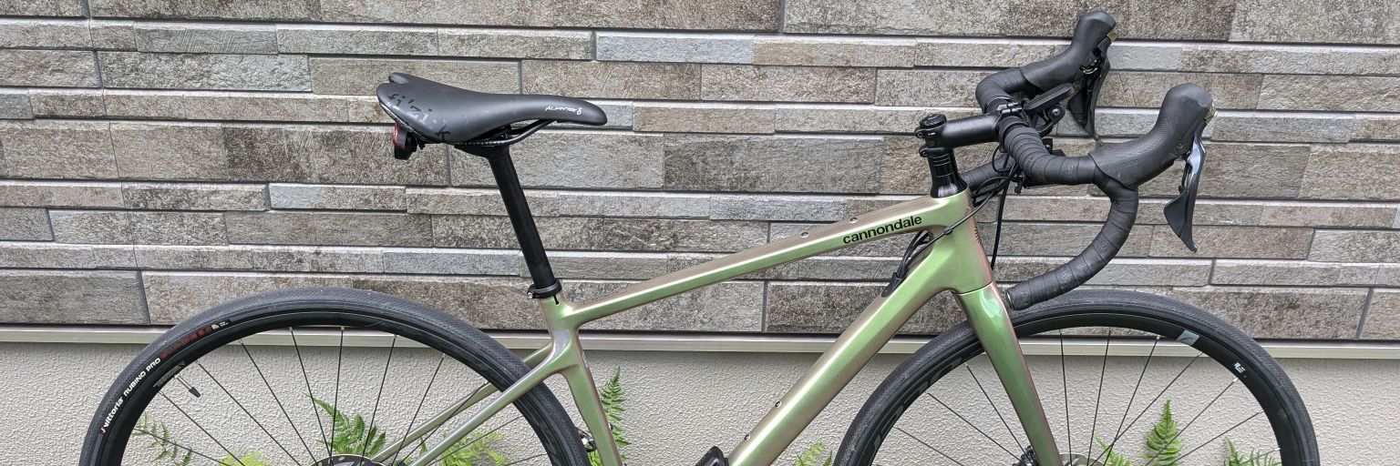 ビリヤニワーラーМ banner