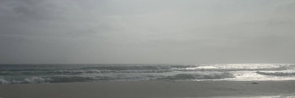 RileyBlount Profile Banner