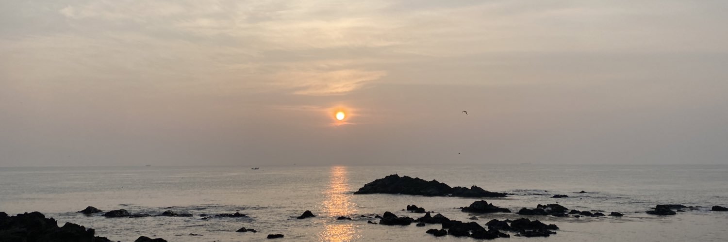 windy_dol's profile banner image