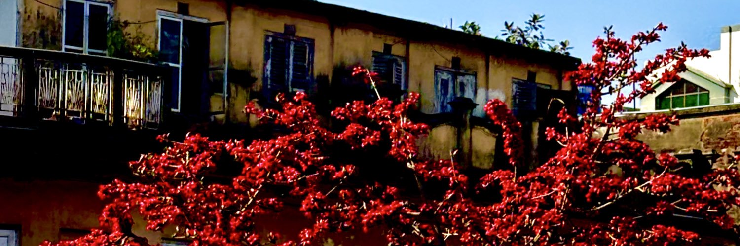 phul gobi 🥬 banner