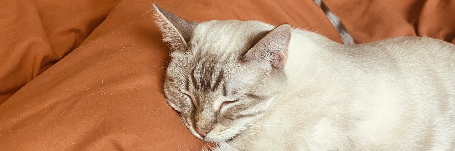 adrianros01's profile banner image