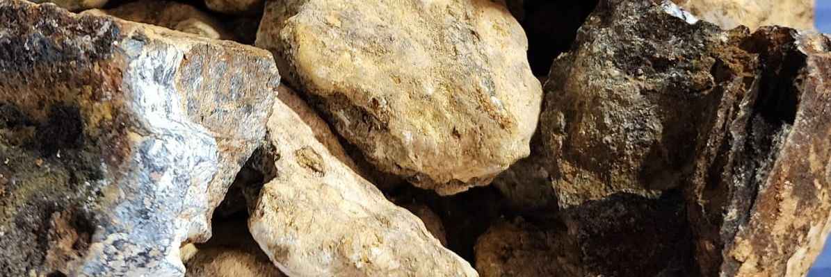 TElphase1's profile banner image
