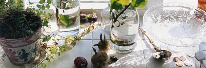 前田紀至子 banner