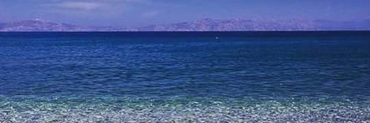 Lulabellecarp's profile banner image