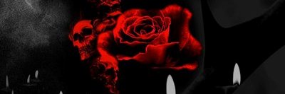 Mystiryus's profile banner image
