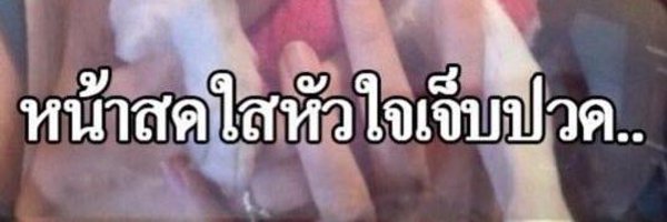 pud5ddddd2 Profile Banner