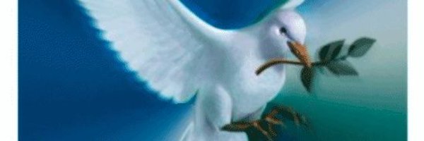 peacem528 Profile Banner