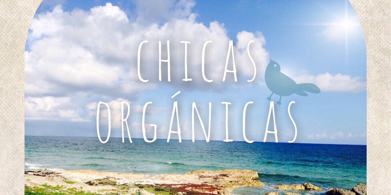 Chicasorganicas's profile banner image