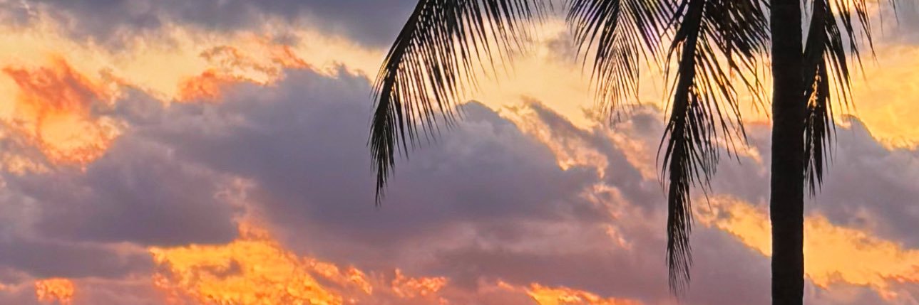 mccl0vin's profile banner image