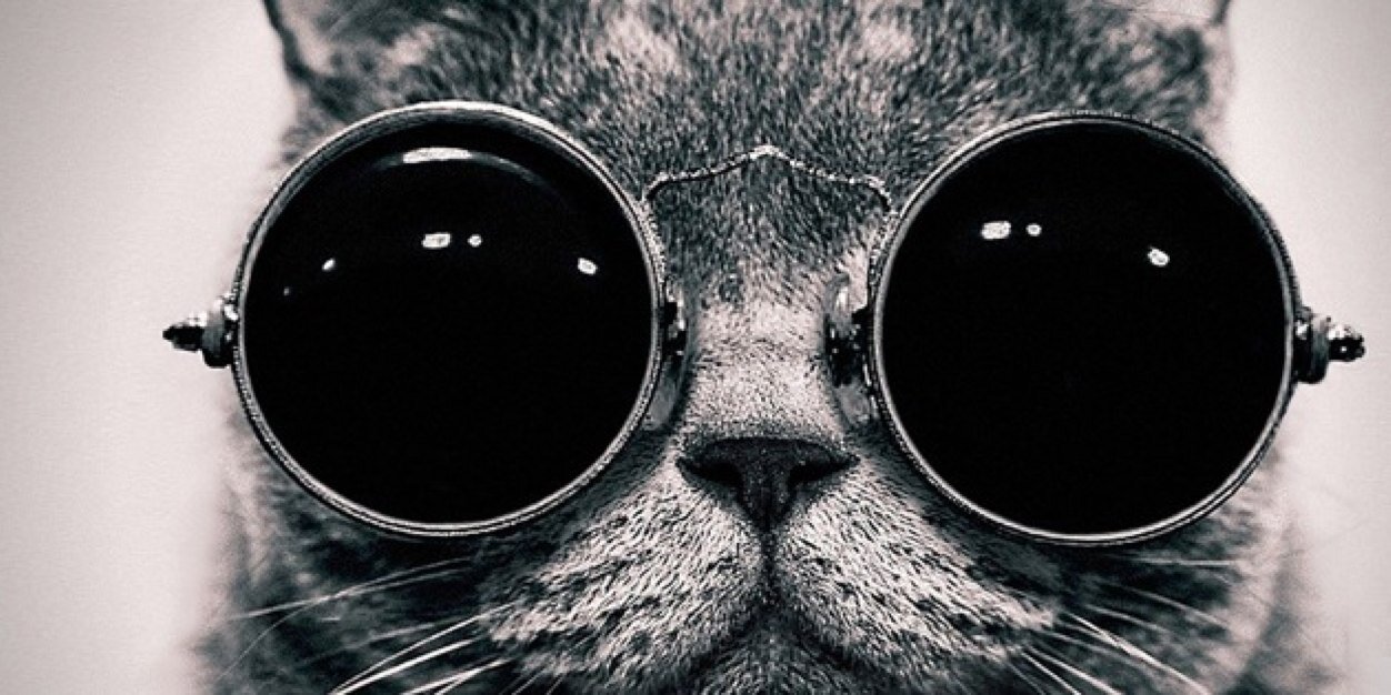 TimmyRayRackers's profile banner image