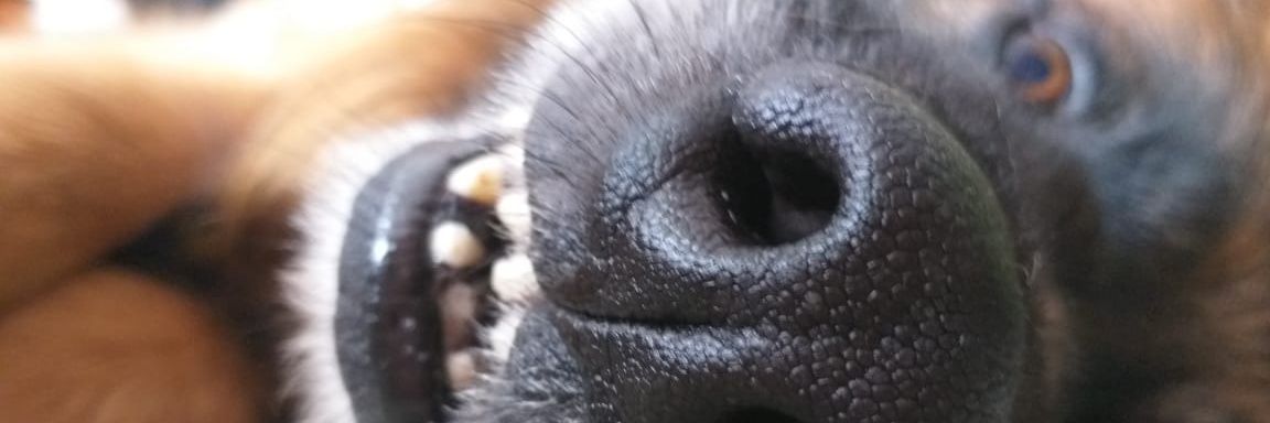 Andrea_SH03's profile banner image