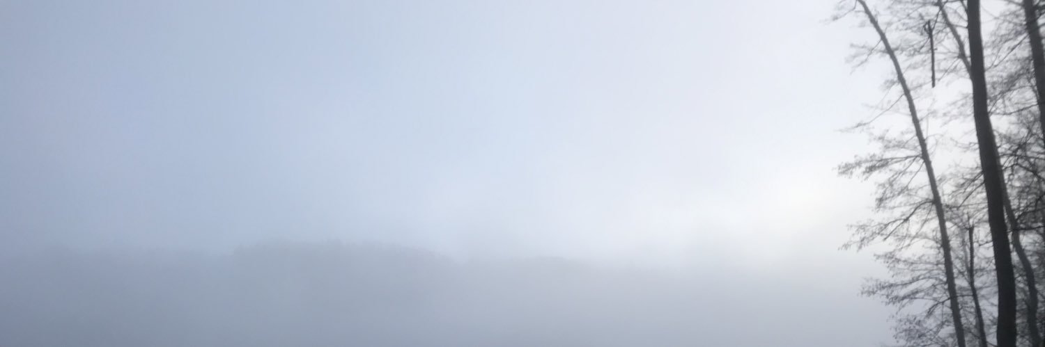 _BeautyOfGray_'s profile banner image