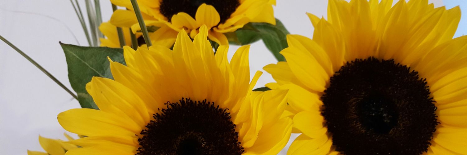 Giton's profile banner image