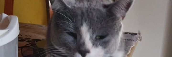 PupiiiFernandez's profile banner image