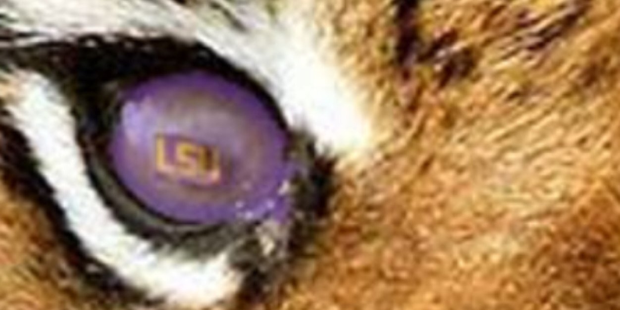 tigerBill56's profile banner image