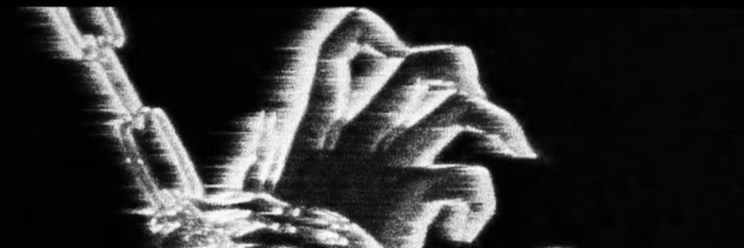 deer_lane's profile banner image