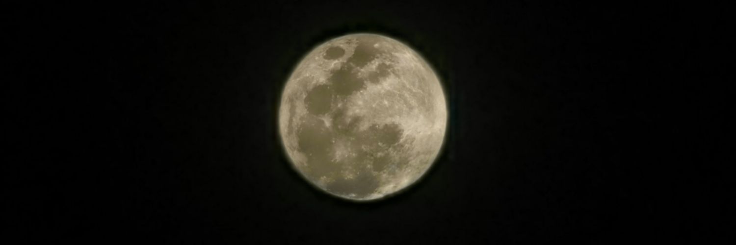 S banner