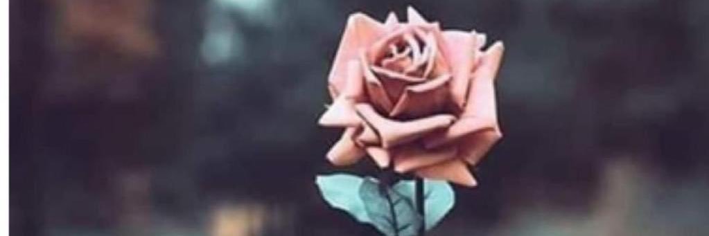 alzedawi's profile banner image