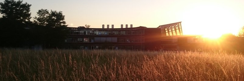 The Zehn Lab's banner