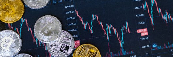 CryptCounter Profile Banner