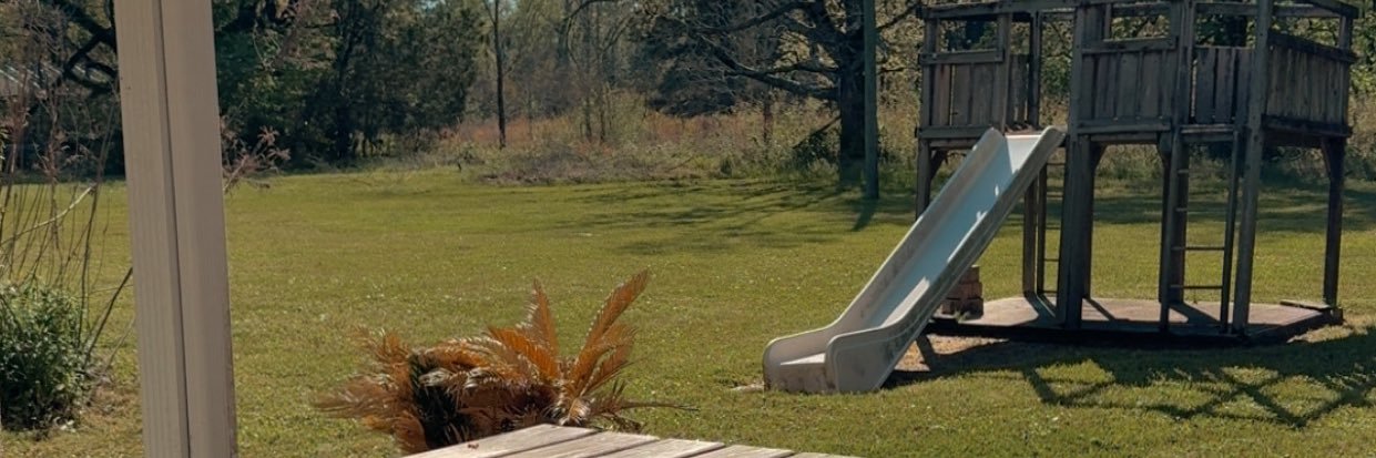 Alayyna_'s profile banner image