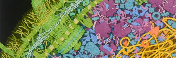 SOPHONTSIMP Profile Banner