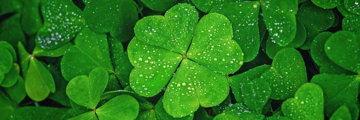 Chuck Overdrive banner