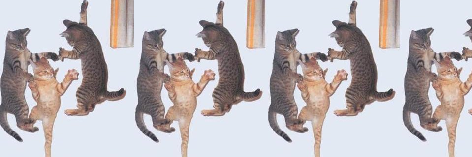 PoxaFelipee's profile banner image
