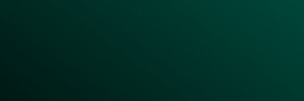 nancypengg Profile Banner
