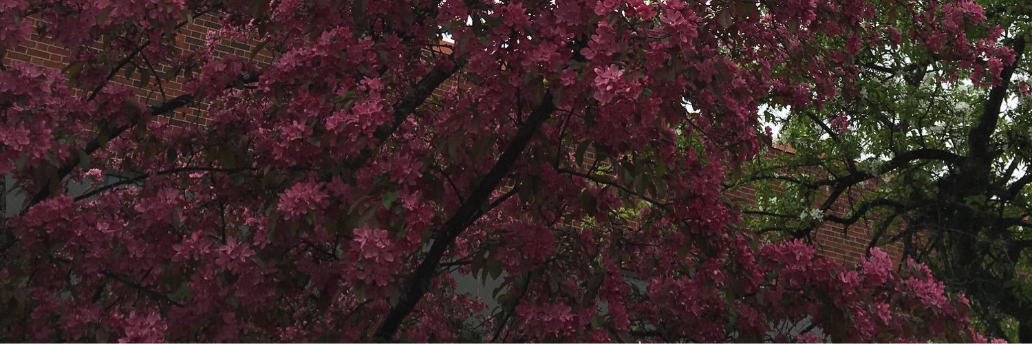 akeenan65's profile banner image