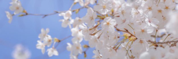 ゆあ banner